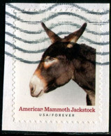 VEREINIGTE STAATEN ETATS UNIS USA 2021 HERITAGE BREEDS: AMERICAN MAMMOTH JACKSTOCK F USED PAPER SC 5587 MI 5820 YT 5429 - Oblitérés