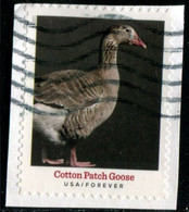 VEREINIGTE STAATEN ETATS UNIS USA 2021 HERITAGE BREEDS: COTTON PATCH GOOSE F USED ON PAPER SC 5588 MI 5821 YT 5430 - Oblitérés