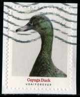 VEREINIGTE STAATEN ETATS UNIS USA 2021 HERITAGE BREEDS: CAYUGA DUCK F USED ON PAPER  SC 5591 MI 5824 YT 5433 - Oblitérés