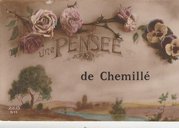 CHEMILLE. -  UNE PENSEE - Chemille
