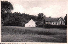 Louise-Marie  Muziekbergbosch - Maarkedal