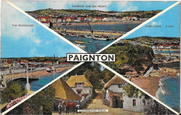 PAIGNTON - Paignton