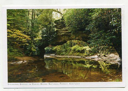 AK 072466 USA - Kentucky - Steinerne Rinne Im Daniel Boone National Forest - Sonstige & Ohne Zuordnung