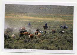 AK 072479 USA - Oregon - Cowboys Der Ponderosa Cattle Ranch - Altri & Non Classificati