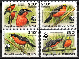 BURUNDI 2022 - Faune En Danger, Wwf, Oiseaux - 4 Val Neufs // Mnh - Neufs