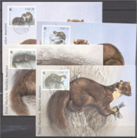 Ireland 1992, WWF, Marten, 4maximum - Cartes-maximum