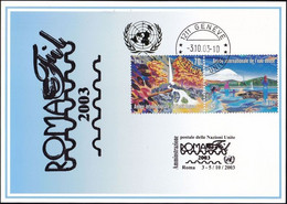 UNO GENF 2003 Mi-Nr. 344 Blaue Karte - Blue Card  Mit Erinnerungsstempel ROM - Lettres & Documents