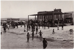 1959 TORRE CANNE  2   LIDO PIPOLI     BRINDISI - Brindisi