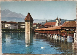 Suisse  Lucerne Pont Couvert  De La Chapelle Kapellbrucke  Tour 1333 Cygnes Egise Jesuites Lac Ses 4 Cantons  -krongrass - Saint-Luc