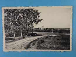 Honnay Paysage Champêtre - Beauraing