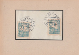 Polen Briefstück Tagesstempel Solec Zdroj 1928 - Frankeermachines (EMA)