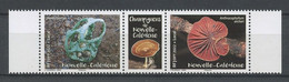 CALEDONIE 2022 N° 1416/1417 ** Bande  Neuf MNH Superbe Flore Champignons Endémiques Ileodictyon Cibarium Anthracophyllu - Unused Stamps