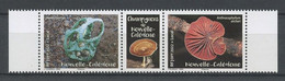 CALEDONIE 2022 N° 1416/1417 ** Bande  Neuf MNH Superbe Flore Champignons Endémiques Ileodictyon Cibarium Anthracophyllu - Ungebraucht