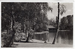 54139 - Deutsches Reich - 1936 - AnsKte "Inf Lehr-Rgt - Olympisches Dorf", Gelaufen - Olympic Games