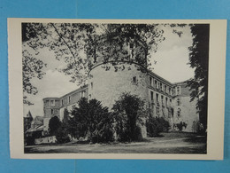 Beauraing Ruines Du Château Féodal Tours Charles-Quint, De Liège Et De Hainaut - Beauraing