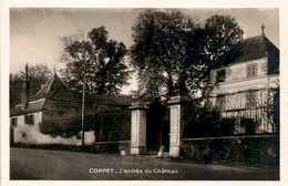 Coppet - L'entree Du Chateau - Coppet