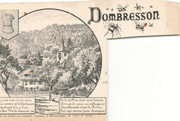 Litho Coupée: Dombresson 1899 - Dombresson 