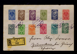 Gc6990 AUTRICHE Cover 1919 Mailed Zumikon - Other & Unclassified