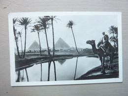 Vue Sur Des Pyramides, Le Nil, Un Chameau Et Son Méhariste - Piramiden