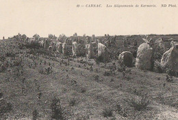 CARNAC. - Les Alignements De Kermario. Cliché RARE - Dolmen & Menhirs