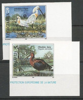 Yugoslavia ERROR Mi.2781/82 Complete Set IMPERFORATED ** / MNH 1996 Europa Hang-on Issues Birds - Non Dentelés, épreuves & Variétés