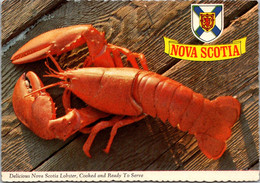 Canada Nova Scotia Delicious Lobster Cooked And Ready To Serve - Altri & Non Classificati