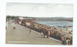 Postcard  Devon Paignton The Promenade Shows Pier  Unused - Paignton