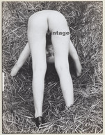 Artistic Nude: Female Bends Down & Looks Through Her Legs / Hay (French Master Photo 60s/70s) - Unclassified