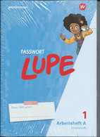 Westermann Passwort Lupe Arbeitsheft Set A+B Grundschule Klasse 1 Deutsch - Livres Scolaires