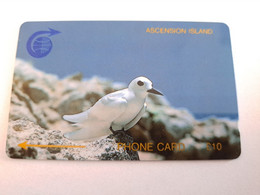 ASCENSION ISLAND   10 Pound Bird Stern  1CASC   MINT Old  Logo C&W **10721** - Ascension (Ile De L')