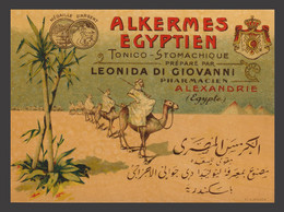 Egypt - RARE - Vintage Label - ( ALKERMES EGYPTIEN - Tonic - Stomachique ) - Ungebraucht