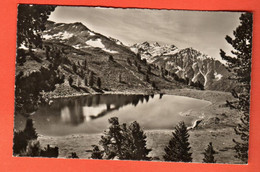 ZRQ-23  Haute-Nendaz Le Lac Tracouet Et Le Mont-Gelé Sur Verbier.  NC Artag 3871 - Nendaz