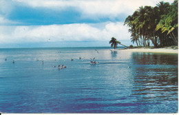 St. Lucia Postcard Sent To Netherlands 30-12-1970 (Pigeon Point) - St. Lucia