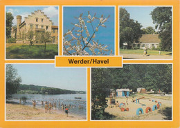 D-14542 Werder- Havel - Alte Ansichten - Schloß Petzow - Obstbaumuseum - Campingplatz - Werder