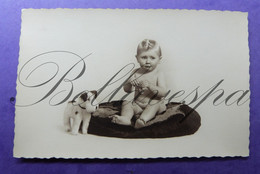 Carte Photo  Photographer  Baby-bébé Babie.studio Art Portret Steiff Terrier ? - Photographs