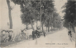 95  Survilliers   - Route  De Flandre - Survilliers