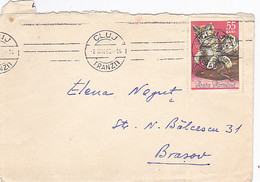 KITTENS, STAMP ON COVER, 1966, ROMANIA - Briefe U. Dokumente