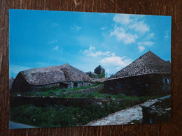 L22/1876 O CEBREIRO. POBLADO PREHISTORICO - Lugo