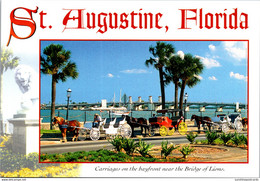 Florida St Augustine Carriages On The Bayfront Near The Bridge Of Lions - St Augustine