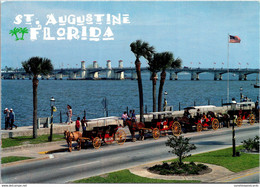 Florida St Augustine Carriages On The Bayfront Near The Bridge Of Lions - St Augustine