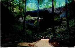 Alabama Winston County Natural Bridge - Other & Unclassified