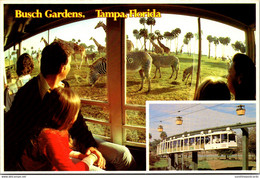 Florida Tampa Busch Gardens The Dark Continent Glass Enclosed Monorail Safari - Tampa