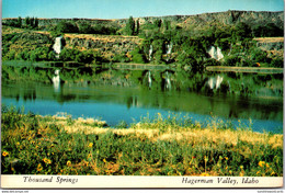 Idaho Hagerman Valley Thousand Springs - Autres & Non Classés
