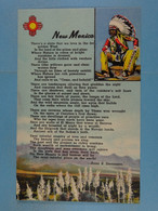 New Mexico The Sunshine State - Andere & Zonder Classificatie