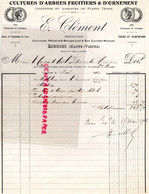 87- LIMOGES- FACTURE E. CLEMENT- CULTURES ARBRES FRUITIERS ORNEMENT-HORTICULTURE HORTICULTEUR-PETINAIUD BEAUPEYRAT-1912 - Landwirtschaft