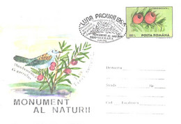 Romania:Bird, Taxus Baccata L., Special Cancellation, 1996 - Cartas & Documentos