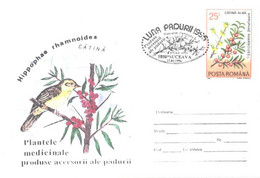 Romania:Bird, Hippophae Rhamnoides, Special Cancellation, 1996 - Cartas & Documentos