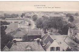 Appingedam Tjamsweer Panorama Van Den Toren B831 - Appingedam