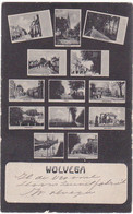 Wolvega Microscop-Karte B833 - Wolvega