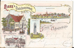 CPA - AK - Hamburg - Litho - Gruss Aus Ochsenwarder - Riege's Etablissement Gesammtansicht - Bergedorf
